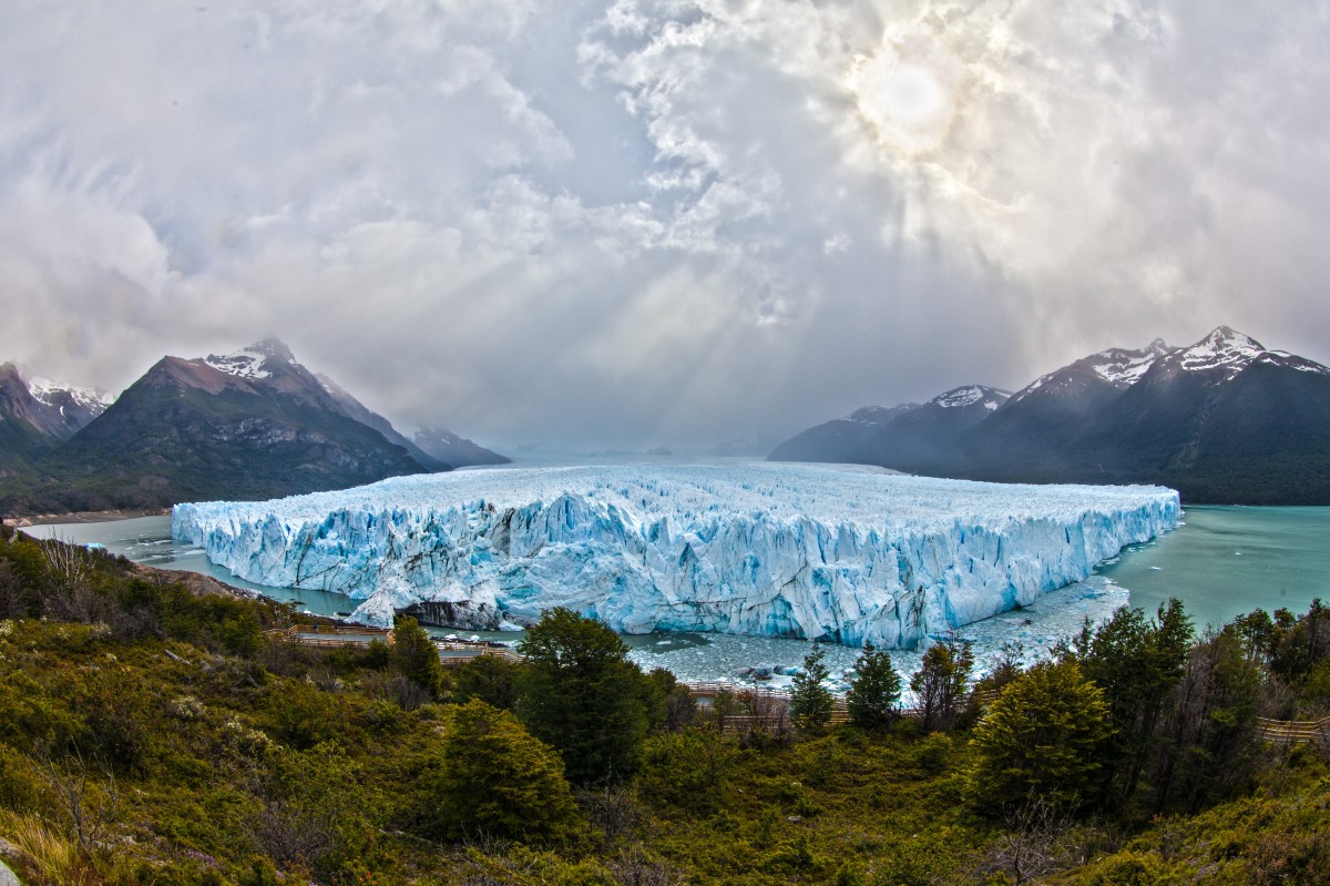 Argentine