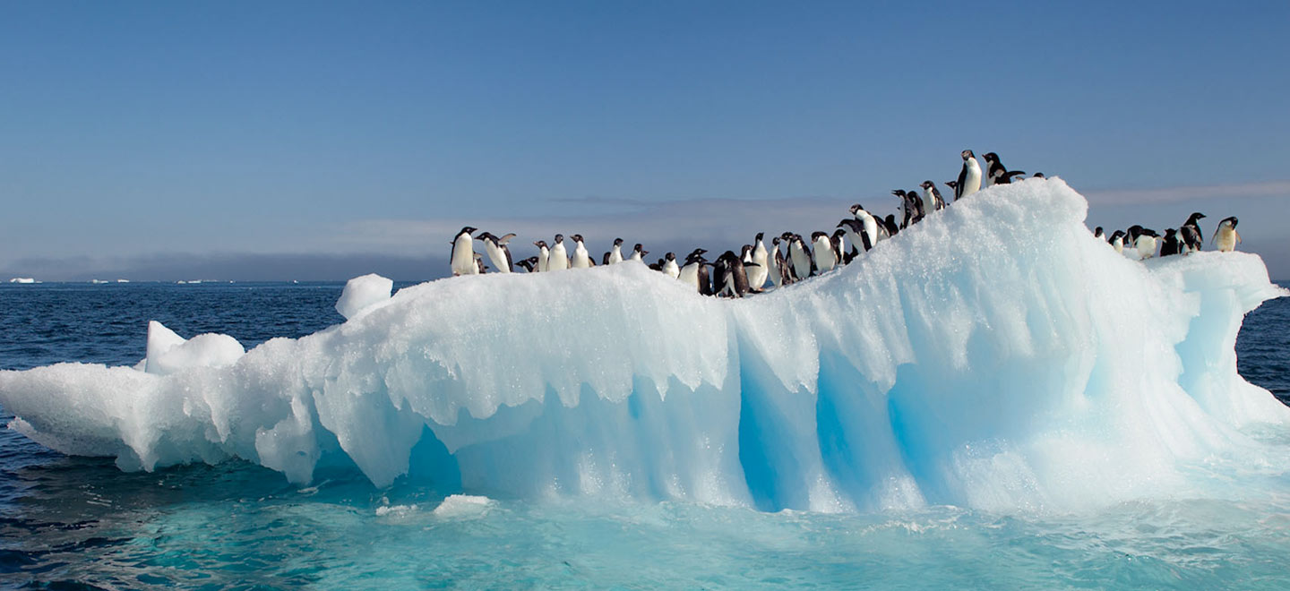 Antarctica南極洲
