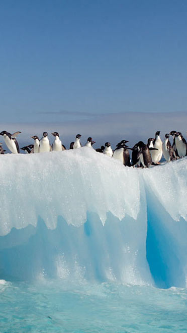 Antarctica南極洲